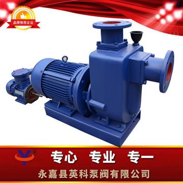 直聯式自吸無堵塞（sāi）排汙（wū）泵